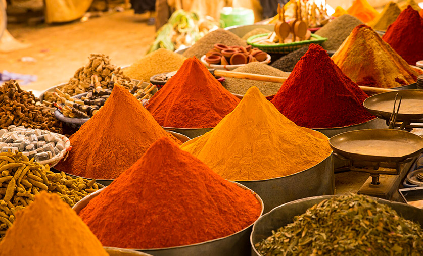 the-golden-triangle-a-canvas-of-india-s-rich-texture