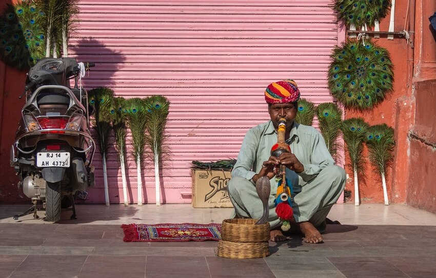 Snake Charmer jaipur market bazaar crafts