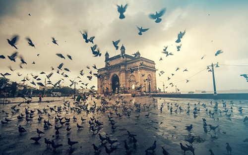 heart-of-india