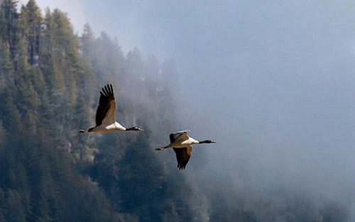 mystical-bhutan